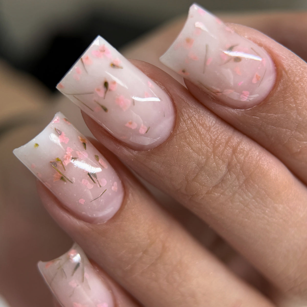 gel twiggy botanica ongles pro albi