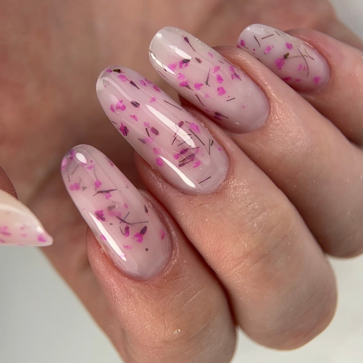 gel magenta botanica ongles pro albi