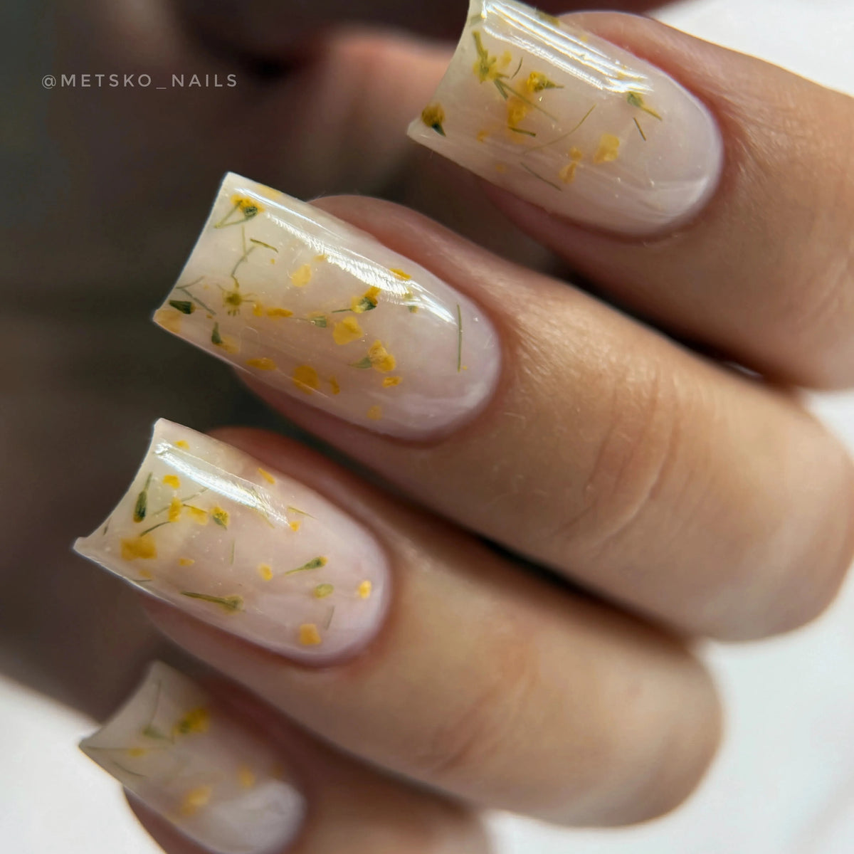 gel sunny botanica ongles pro albi